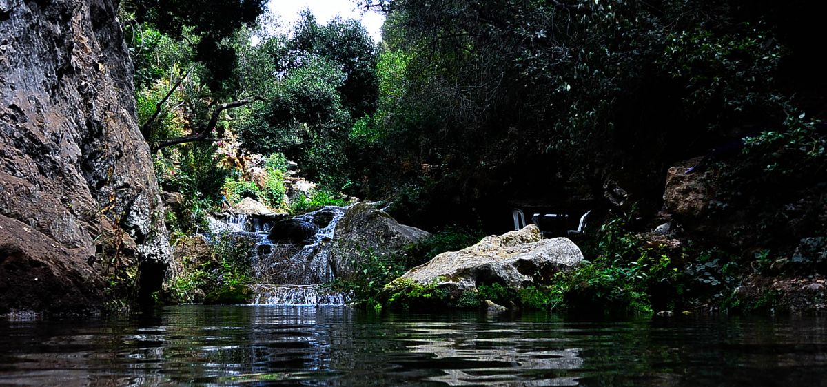 Río rodeado de naturaleza